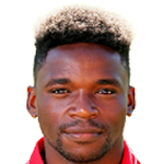 player-logo
