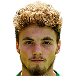 player-logo