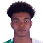 player-logo
