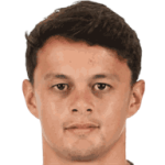 player-logo