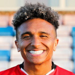 player-logo