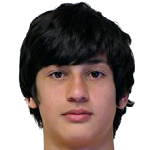 player-logo