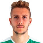 player-logo