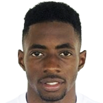 player-logo