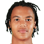 player-logo
