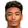 player-logo