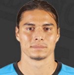 player-logo