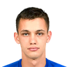 player-logo