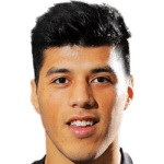 player-logo