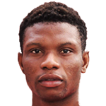 player-logo