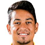 player-logo