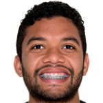 player-logo