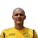 player-logo
