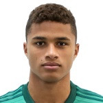 player-logo