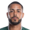 player-logo