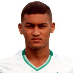 player-logo