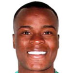 player-logo