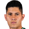 player-logo