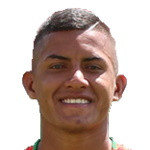 player-logo