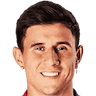 player-logo