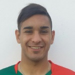 player-logo
