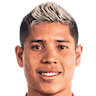 player-logo