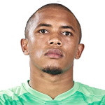 player-logo