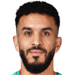 player-logo