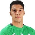 player-logo