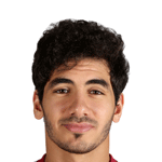 player-logo