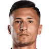 player-logo