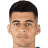 player-logo