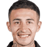 player-logo