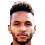 player-logo