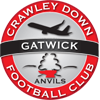 team-logo