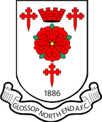transfer-team-logo