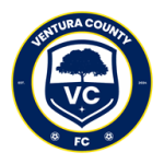 transfer-team-logo