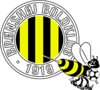 team-logo