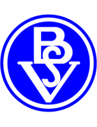 team-logo