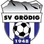 transfer-team-logo