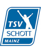 transfer-team-logo