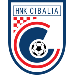 transfer-team-logo