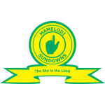 team-logo-bg
