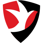 Челтнем Таун team logo