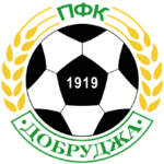 Добруджа 1919 team logo