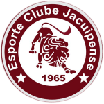 transfer-team-logo