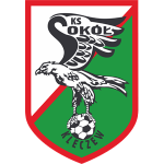 transfer-team-logo