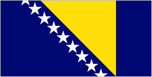Босния и Герцеговина team logo