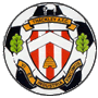 team-logo