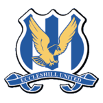 team-logo